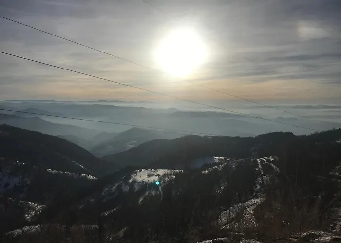 Familykop Milmari Kopaonik